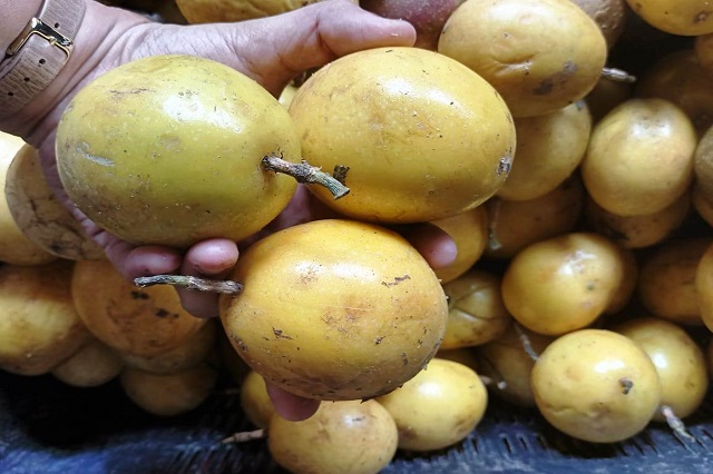 Yellow passion fruit